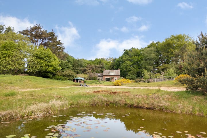 Foto 68 van Sorghvlietweg 10