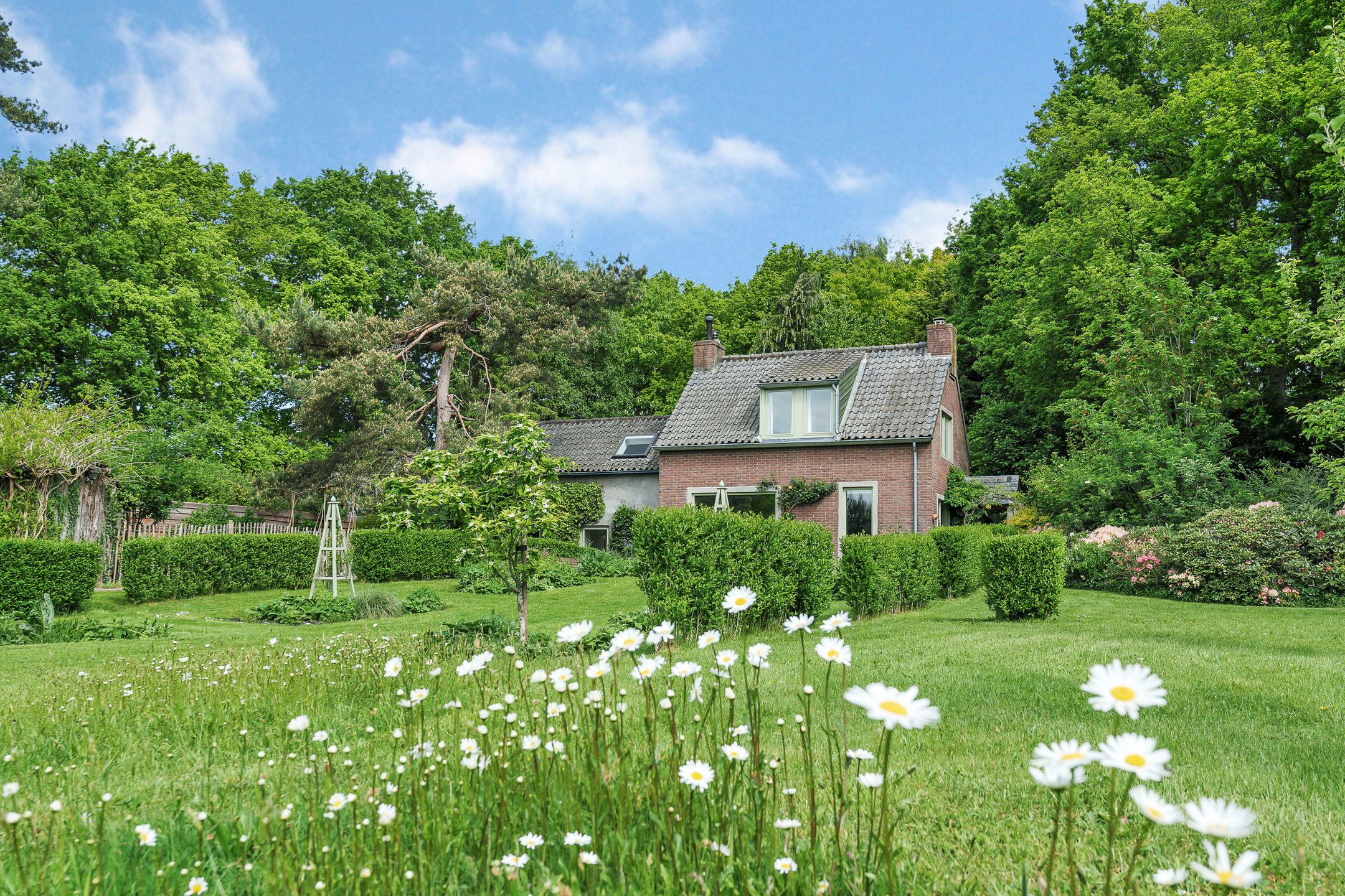 Foto 69 van Sorghvlietweg 10