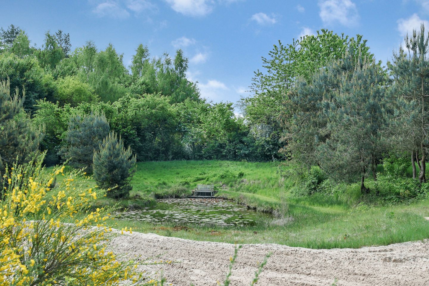 Foto 70 van Sorghvlietweg 10