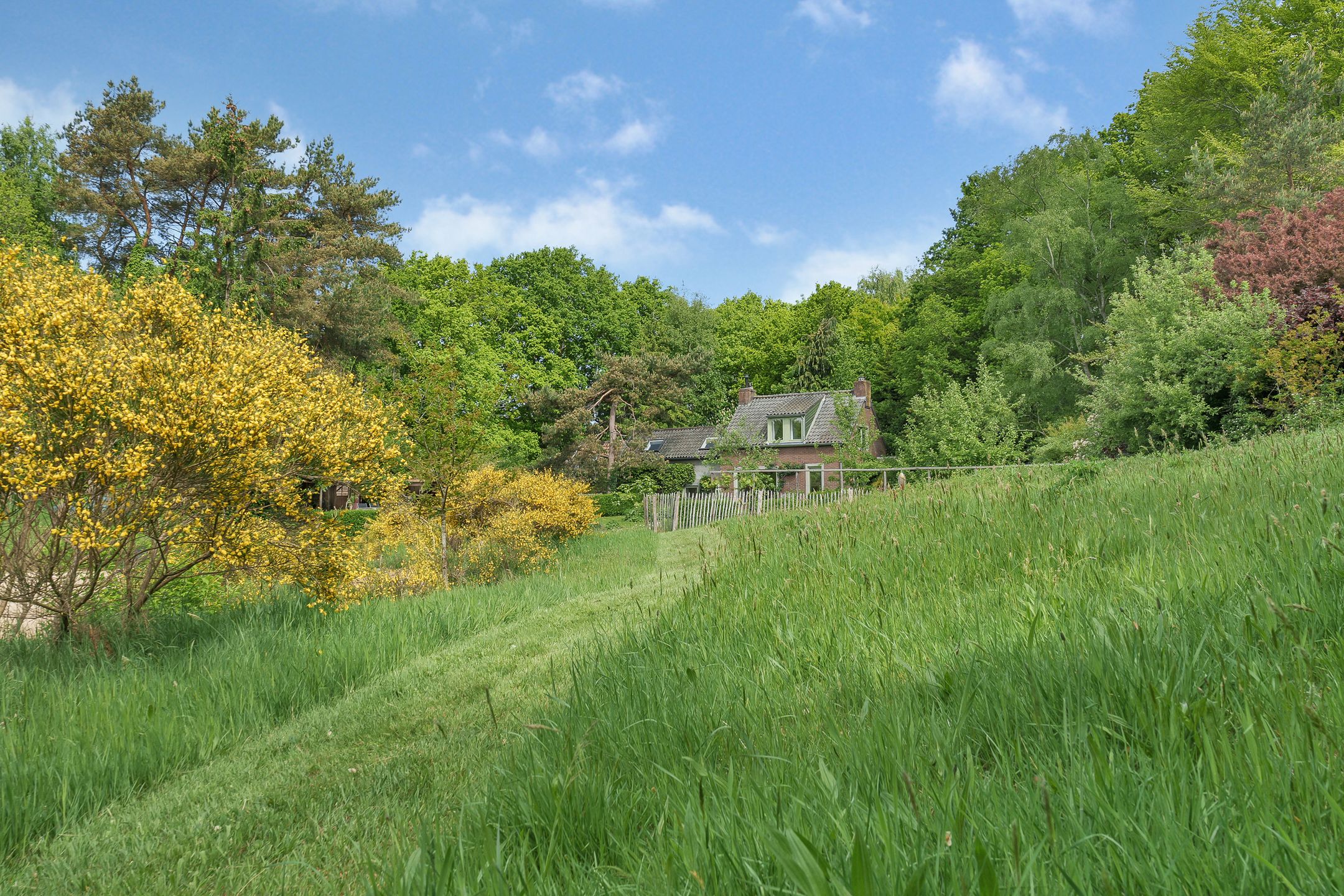 Foto 75 van Sorghvlietweg 10