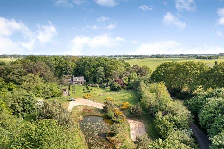 Foto 79 van Sorghvlietweg 10