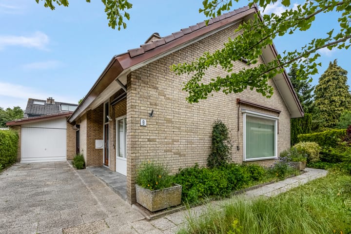 Foto 1 van Rienderstein 9