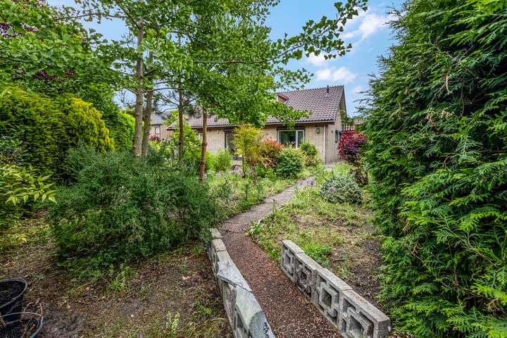 Foto 33 van Rienderstein 9