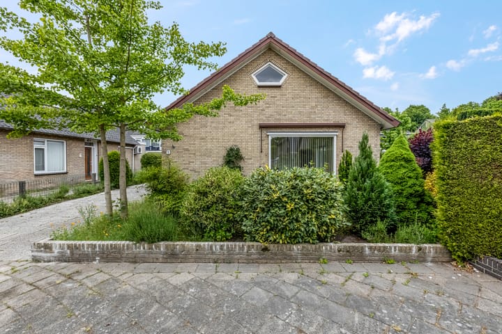 Foto 39 van Rienderstein 9