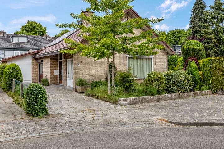 Foto 43 van Rienderstein 9