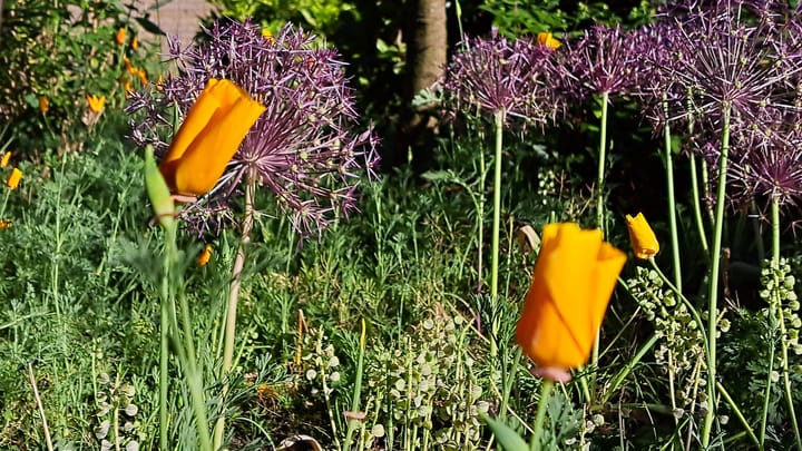 Foto 53 van Rienderstein 9