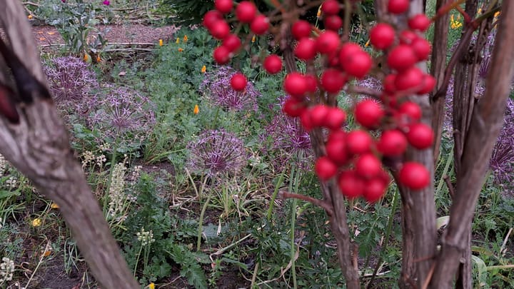 Foto 54 van Rienderstein 9