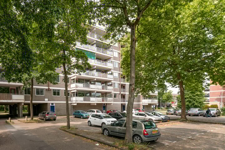 Foto 20 van Landschot 20