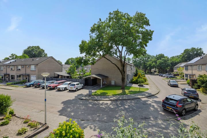 Foto 32 van Niers 29