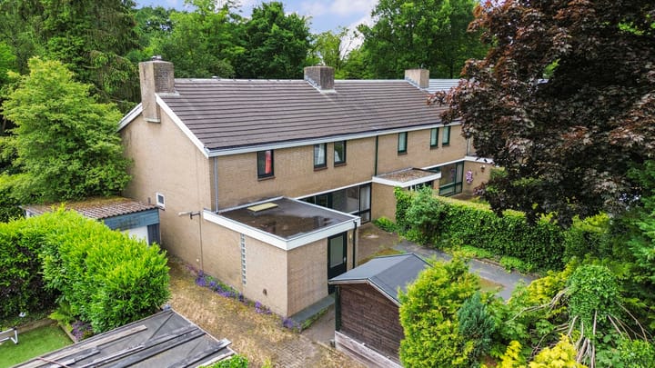 Foto 39 van Joost van den Vondellaan 49