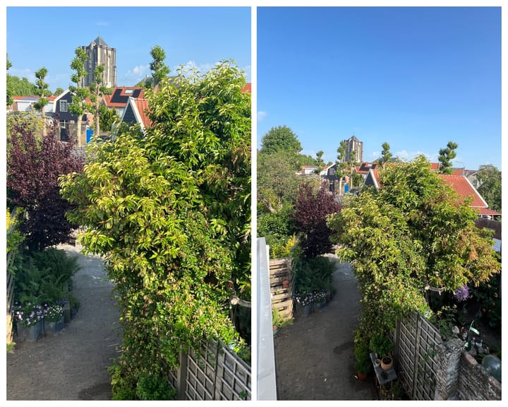 Foto 29 van Bagijnestraat 44