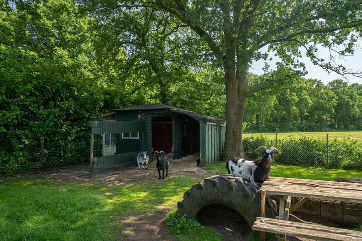 Foto 33 van Usselerveenweg 128-A