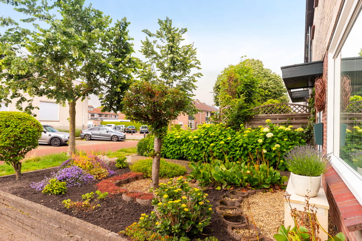 Foto 9 van Boerhaavelaan 38