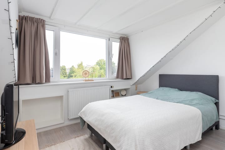 Foto 28 van Boerhaavelaan 38