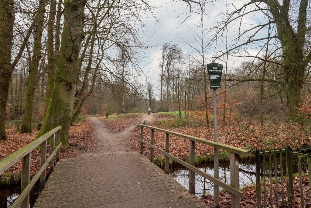 Photo 26 of Bernhardlaan 25-2