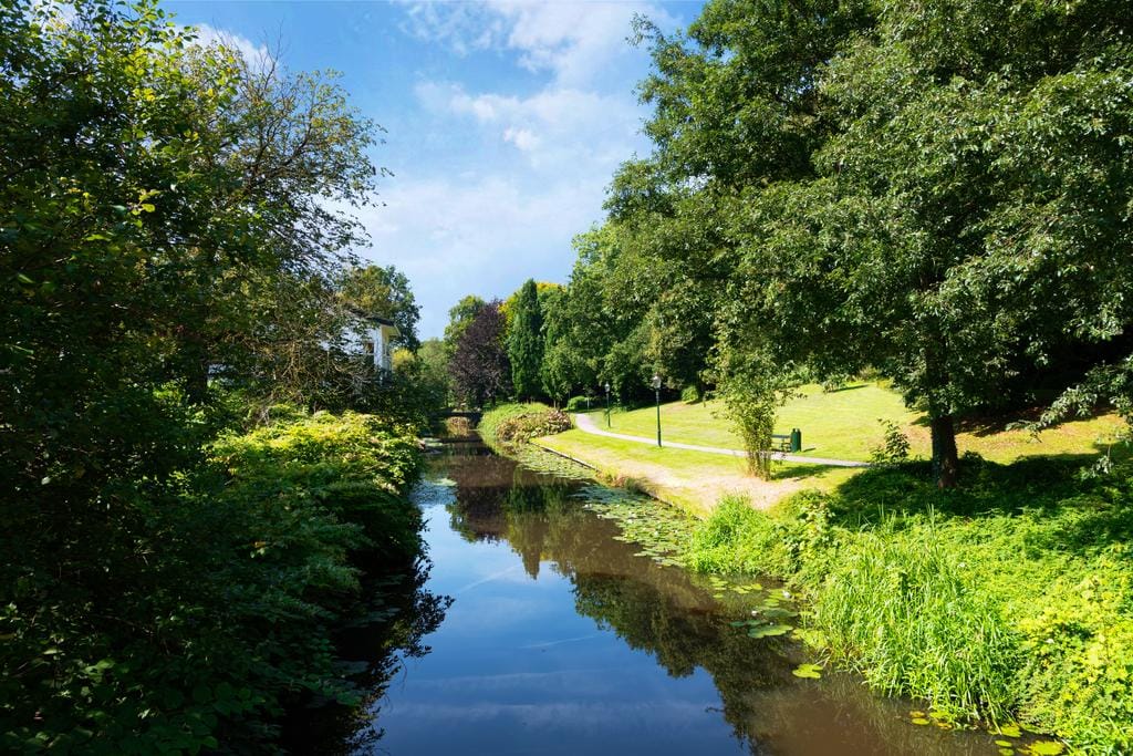 Foto 20 van De Bosuil 33