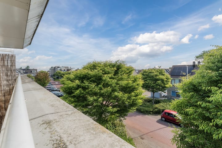 Photo 38 of Buitendijklaan 41