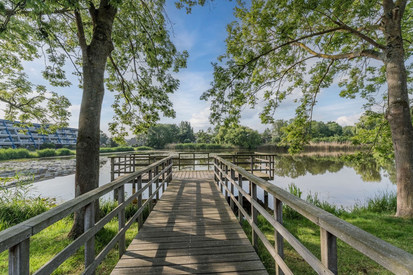 Foto 50 van Buitendijklaan 41