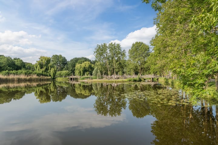 Photo 51 of Buitendijklaan 41