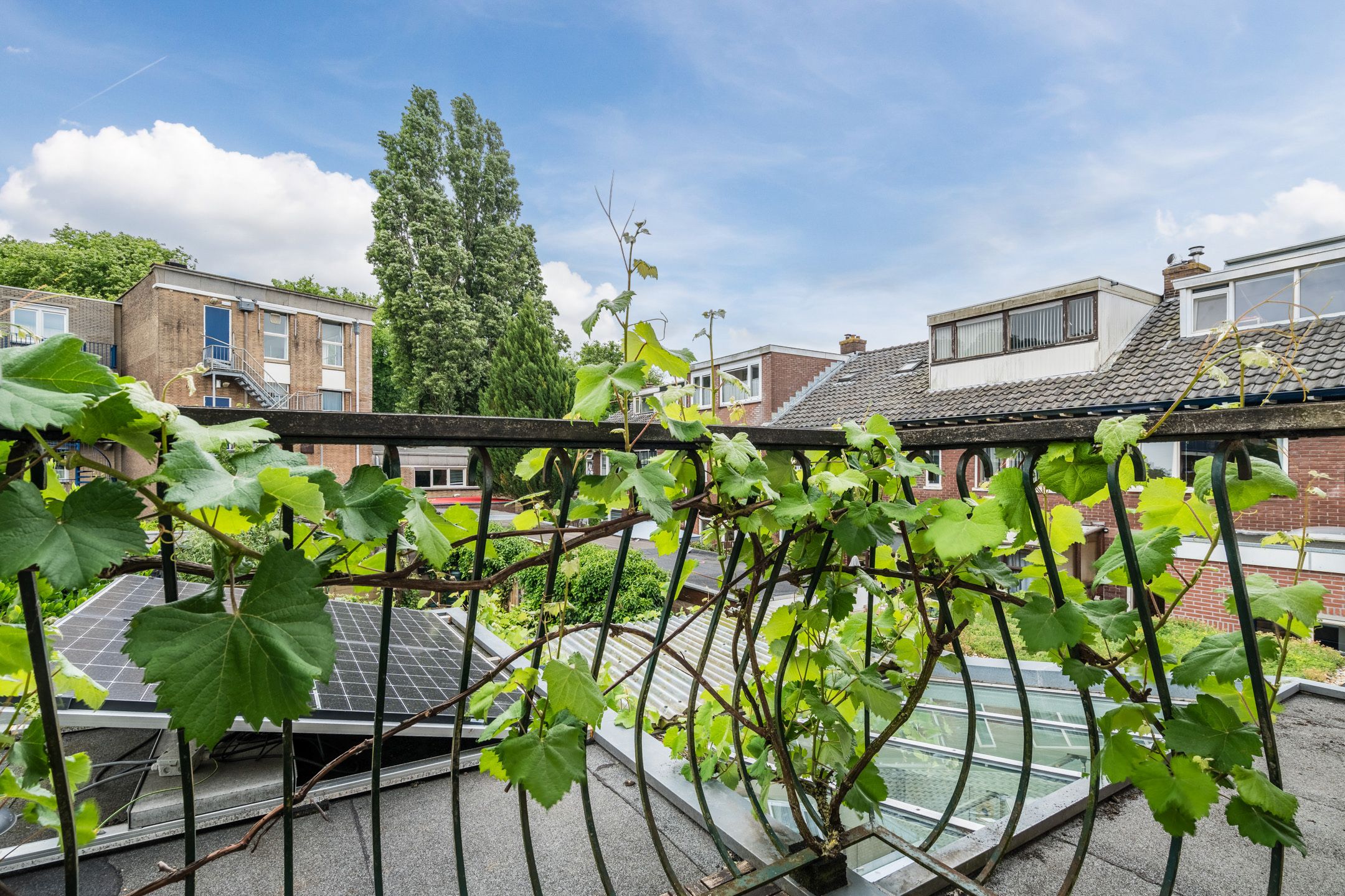 Photo 51 of Bernard de Waalstraat 3