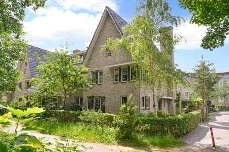 undefined main image