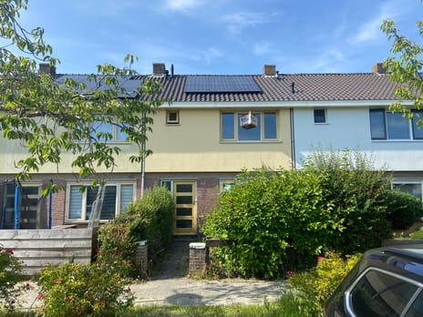 undefined main image