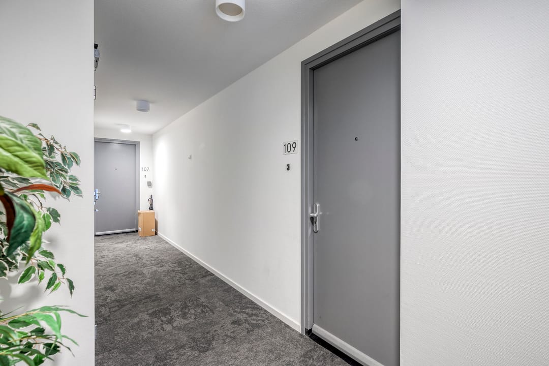 Foto 11 van Loirestraat 109