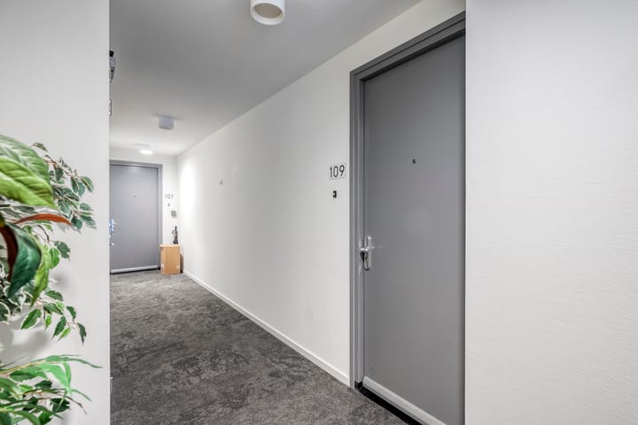 Foto 11 van Loirestraat 109