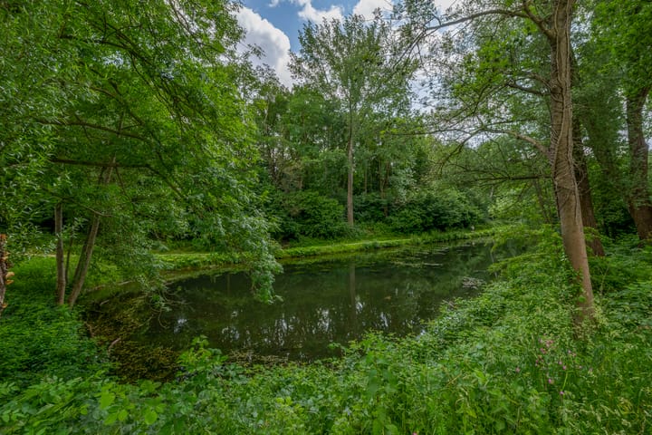 Foto 33 van Stalbergweg 328