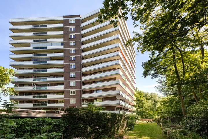 Laan van Spieringshoek 45