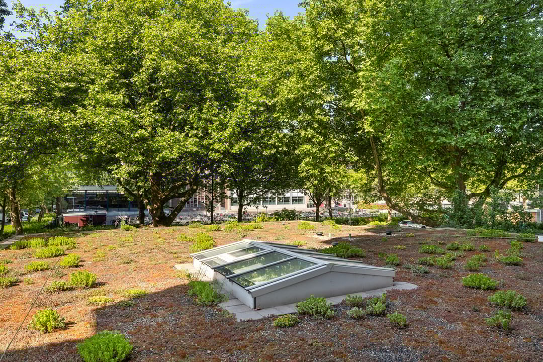 Foto 37 van Laan van Spieringshoek 45