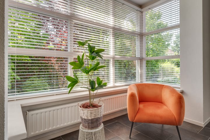 Foto 14 van Visven 55