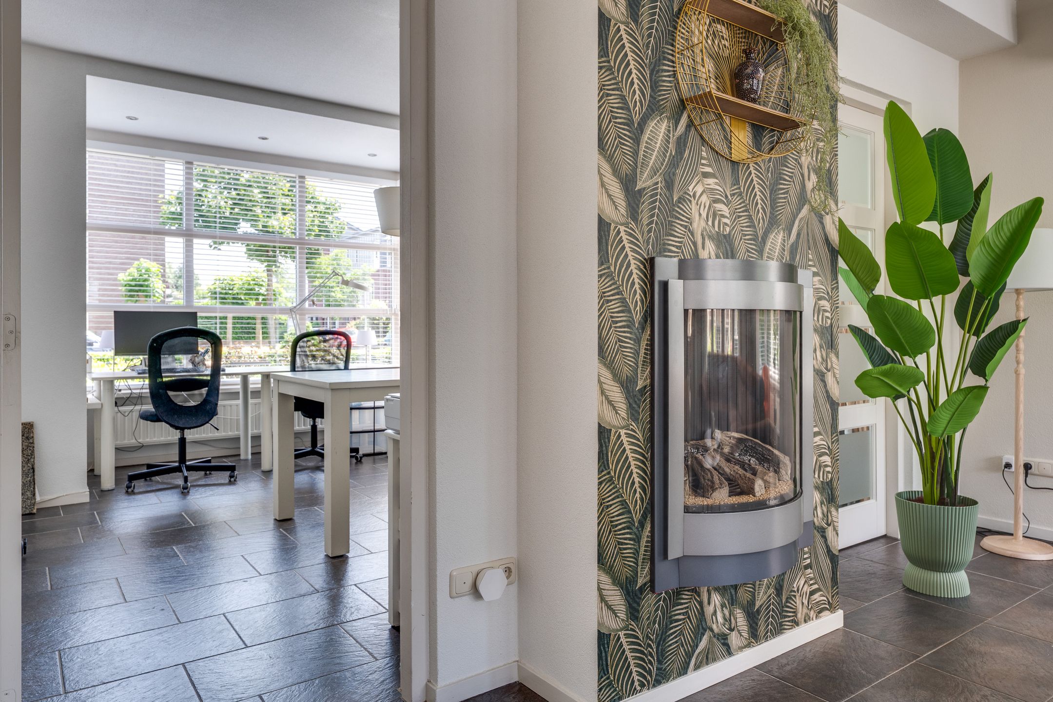 Foto 15 van Visven 55