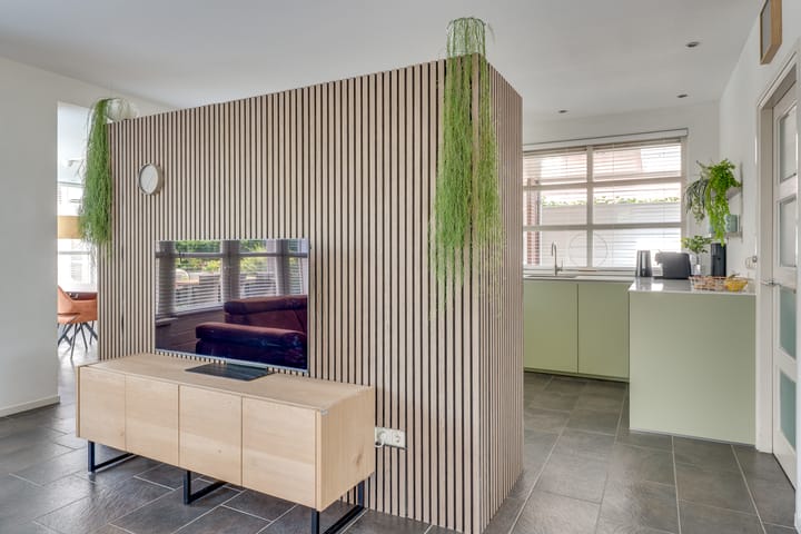 Foto 16 van Visven 55