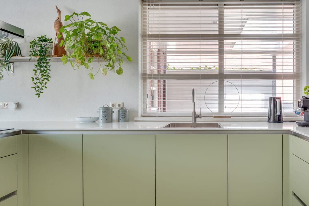 Foto 17 van Visven 55