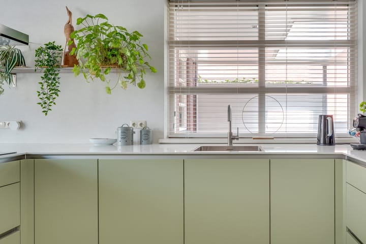 Foto 17 van Visven 55