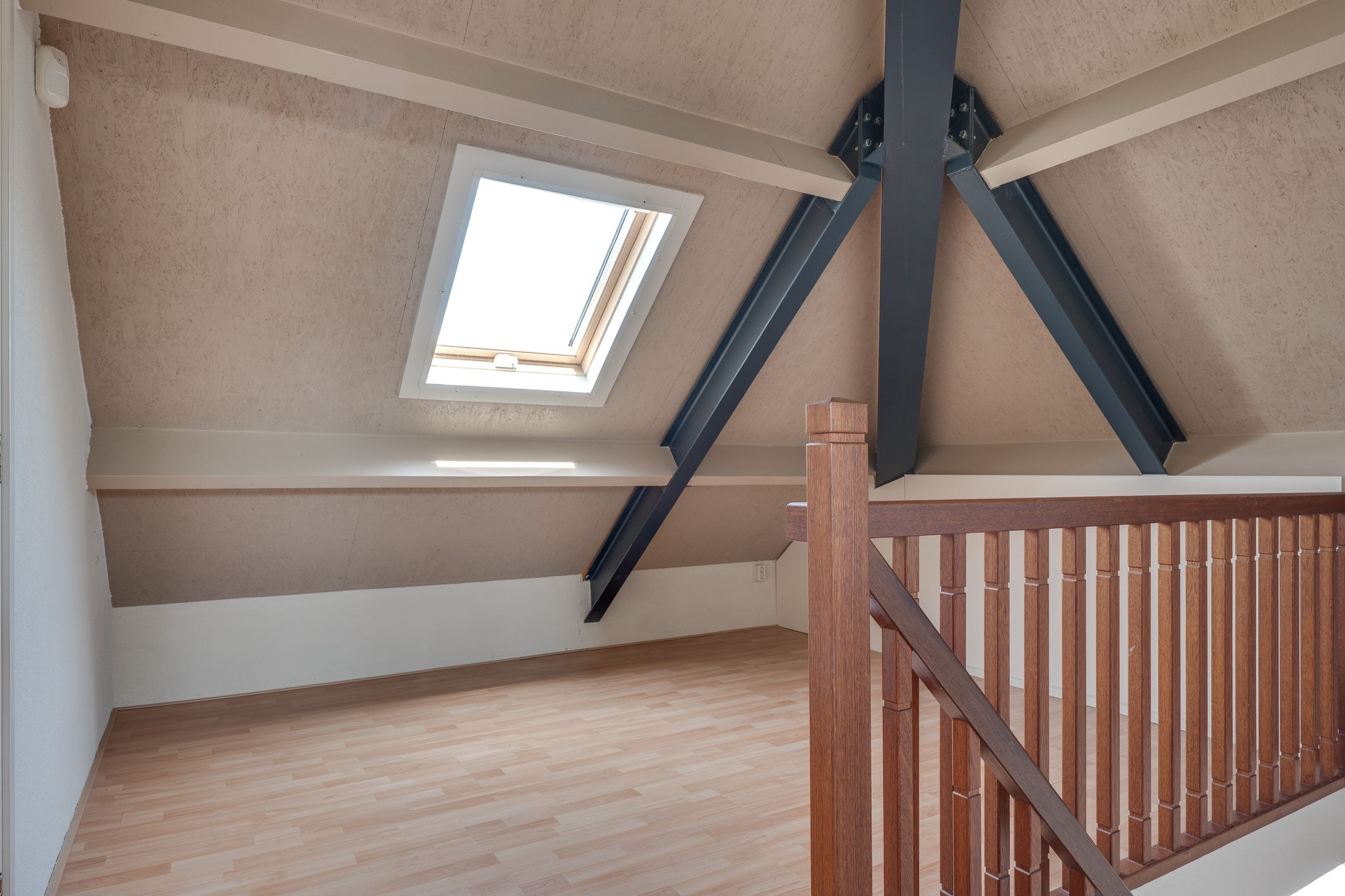 Foto 39 van Visven 55