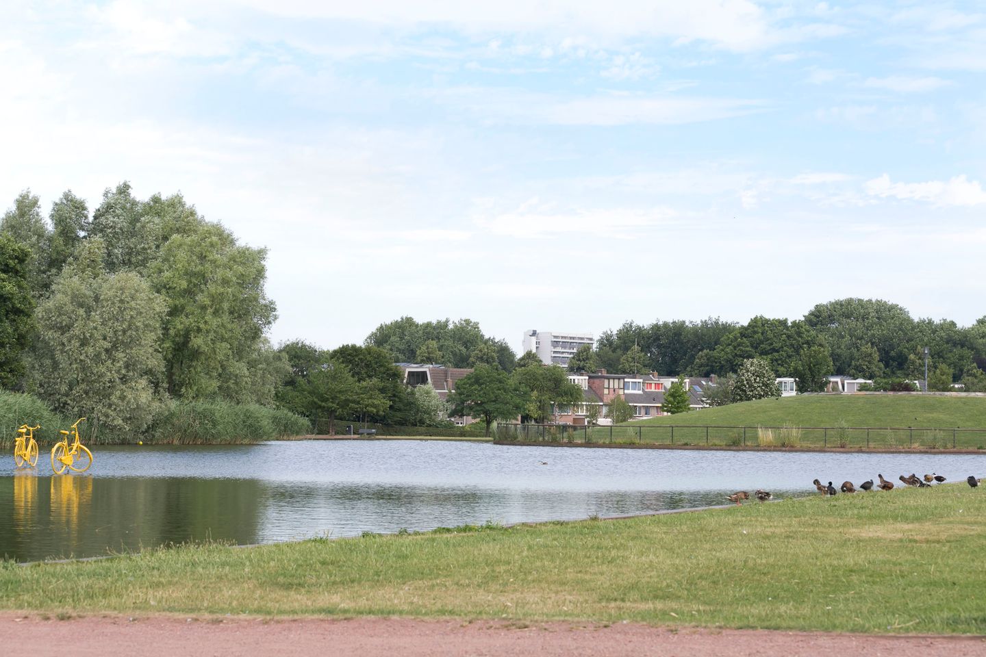 Foto 55 van Willem van Noortstraat 19