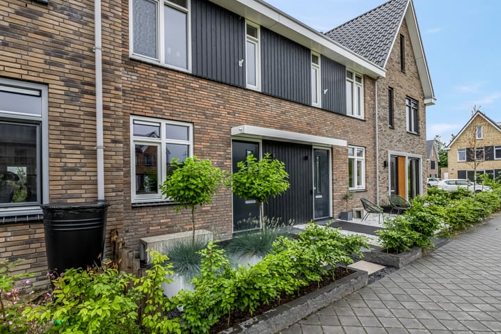 Foto 43 van Steven Peltplantsoen 6