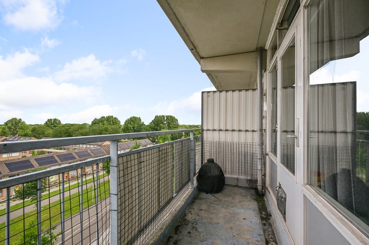 Photo 10 of Lupinesingel 298