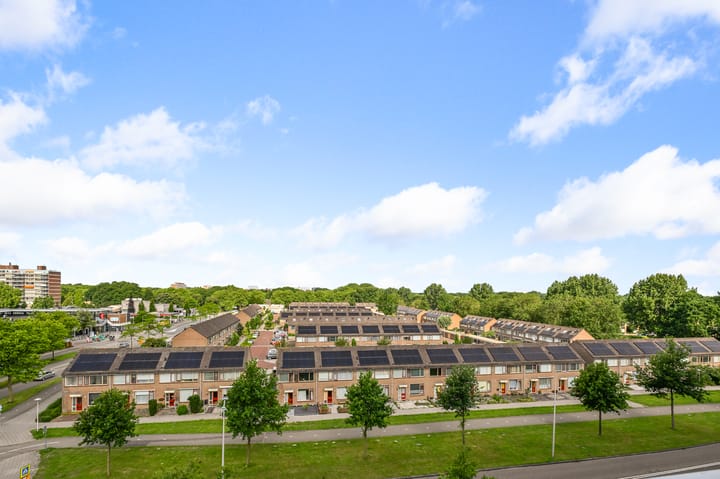 Photo 11 of Lupinesingel 298