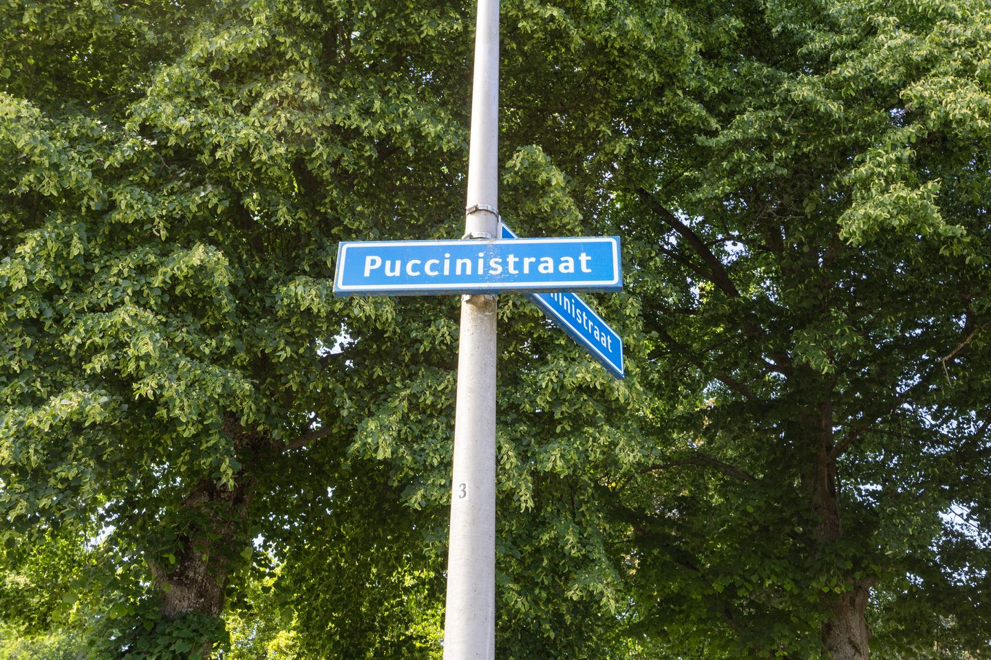 Foto 34 van Puccinistraat 1