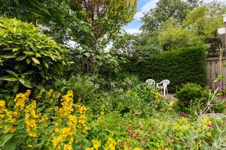 Foto 25 van Amstel 156