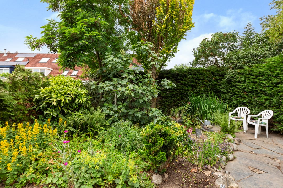 Foto 26 van Amstel 156