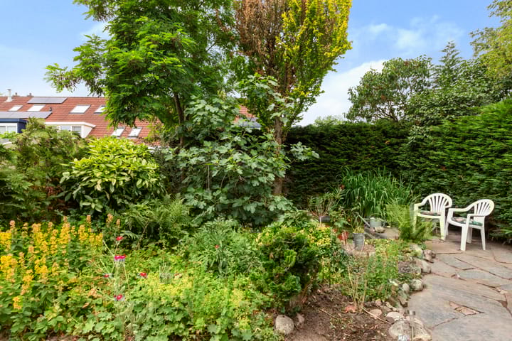 Foto 26 van Amstel 156