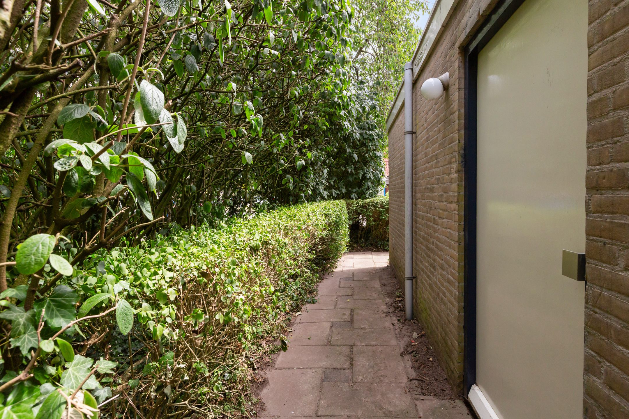 Foto 30 van Amstel 156