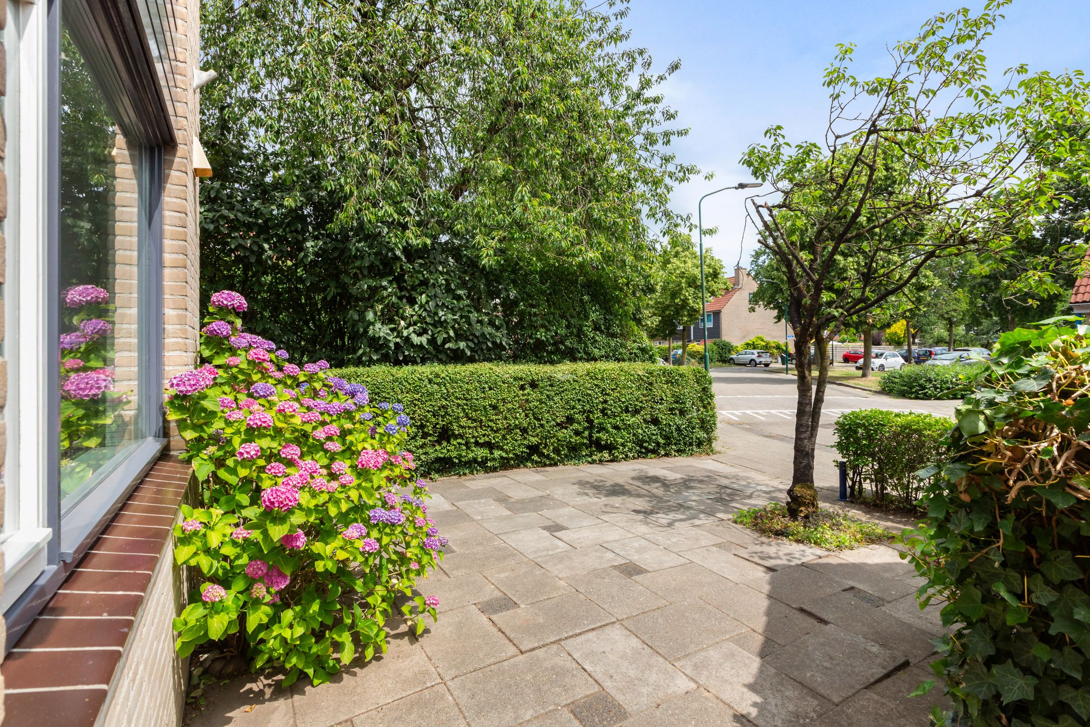 Foto 51 van Amstel 156