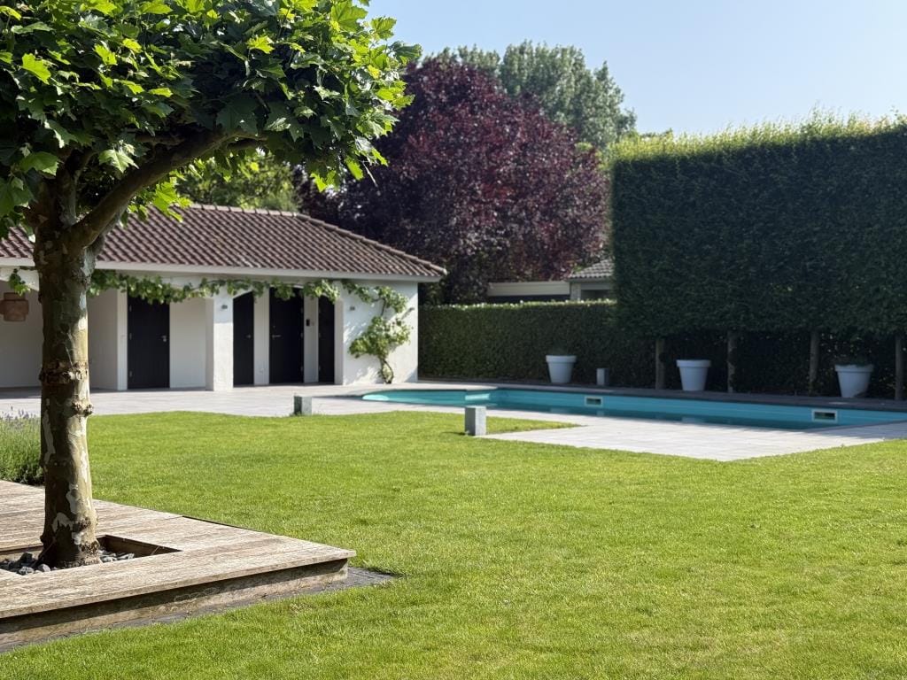 Foto 30 van De Scheifelaar 208