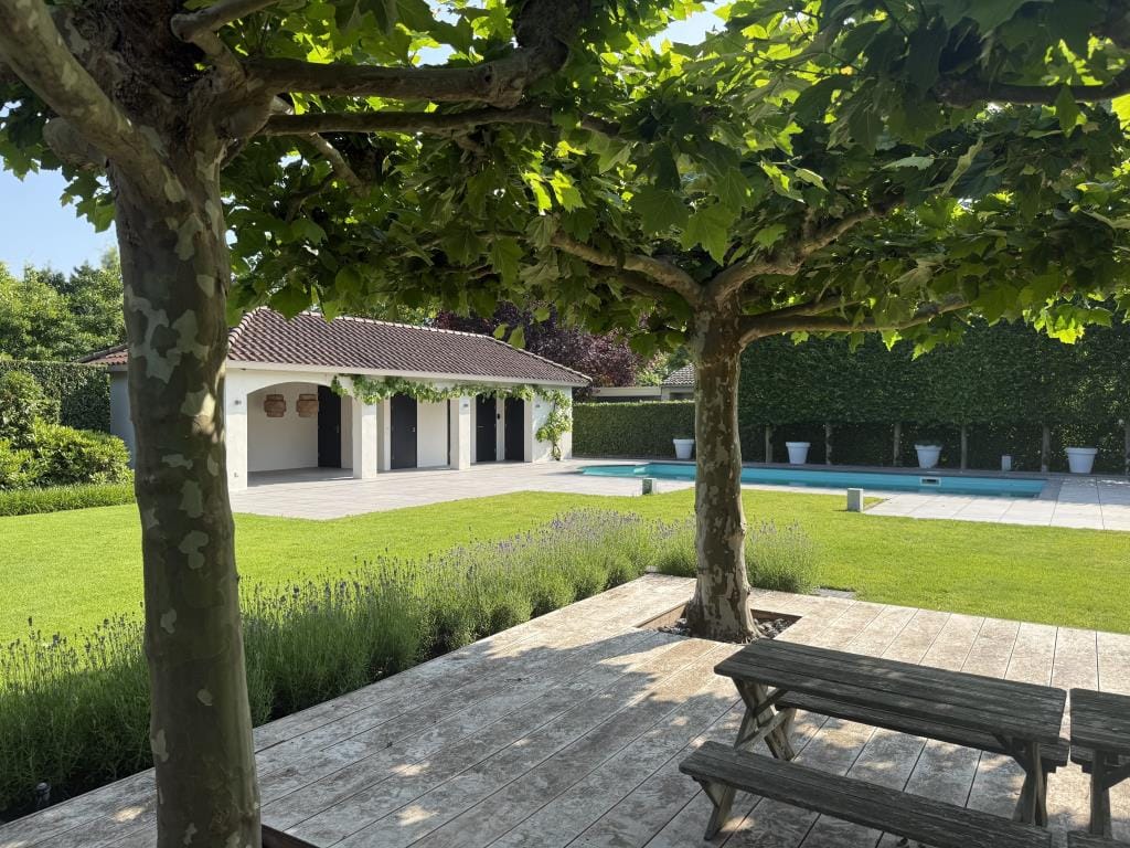 Foto 36 van De Scheifelaar 208