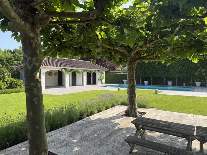 Photo 36 of De Scheifelaar 208